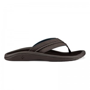 Olukai Hokua Beach Sandals Herre Mørkebrune Danmark | D0P-1545