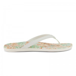 Olukai Ho'ōpio Hau Beach Sandals Dame Hvide Flerfarvede Danmark | P0T-4758