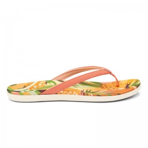 Olukai Ho'ōpio Hau Beach Sandals Dame Koral Flerfarvede Danmark | I1F-5838