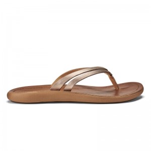 Olukai Kāpehe Luana Beach Sandals Dame Guld Brune Danmark | L7M-3328