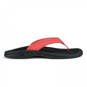 Olukai Ohana Beach Sandals Dame Koral Sort Danmark | C9Y-6871